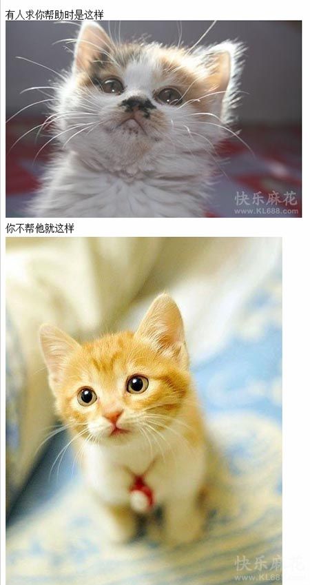 2013041416371160350.jpg
