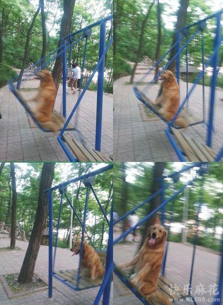 2013062513453250427.jpg