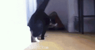 2013060716374859882.gif