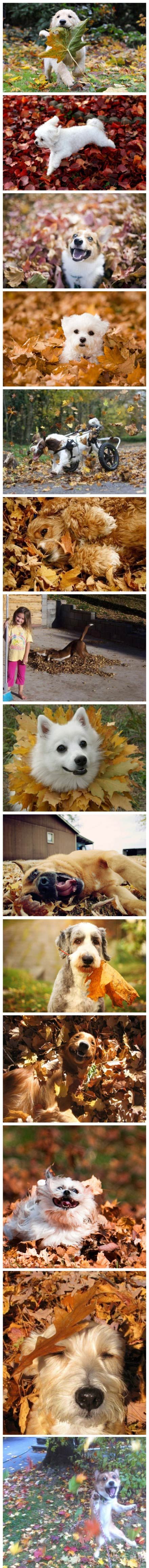 2013103114173852314.jpg