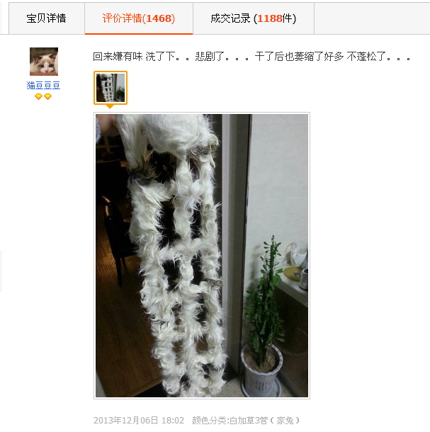 哈哈哈哈哈哈.png
