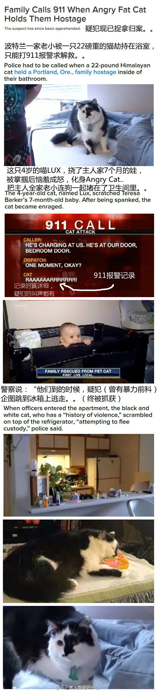 9bd522c1jw1eedsrh1yxfj20ez1tvgzm.jpg