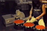 t01558b68f2fec63ecf.gif
