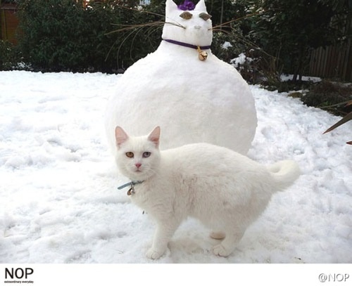068堆雪人u=944757812,3929460032&fm=24&gp=0.jpg